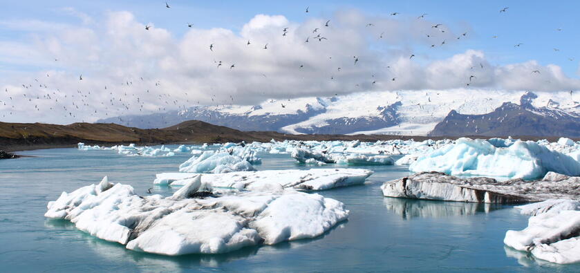 Birds flying over glacial lagoon.