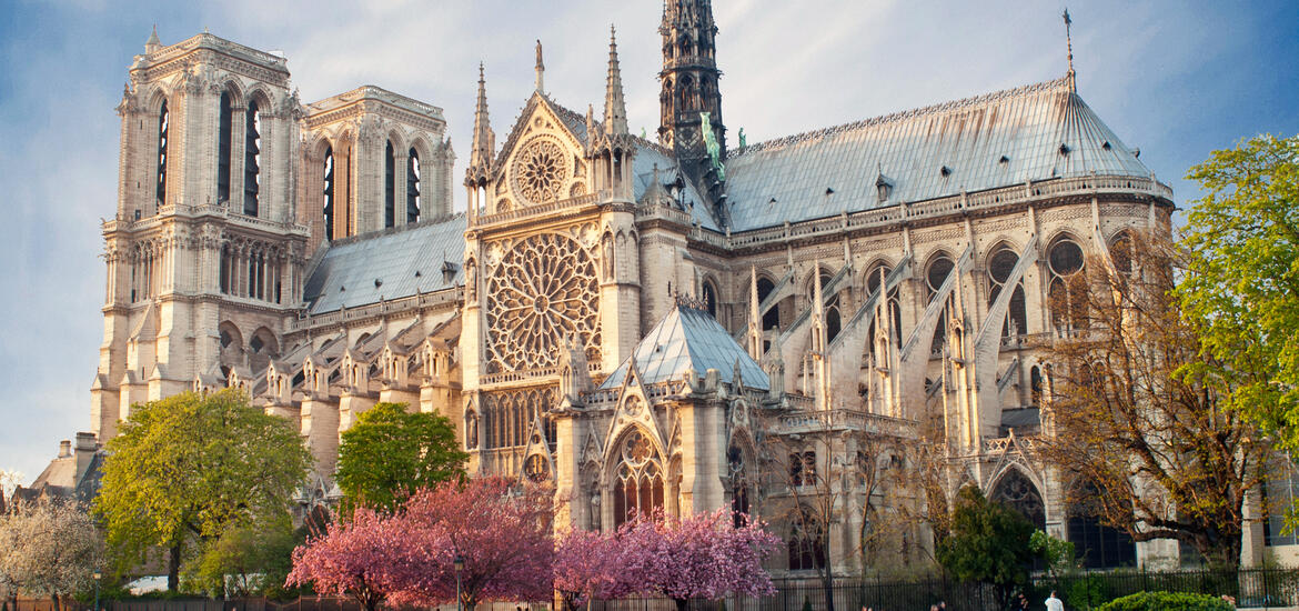 The detailed Gothic architecture of Notre Dame Cathedral in Paris, with its iconic rose window and flying buttresses, surrounded by blooming trees