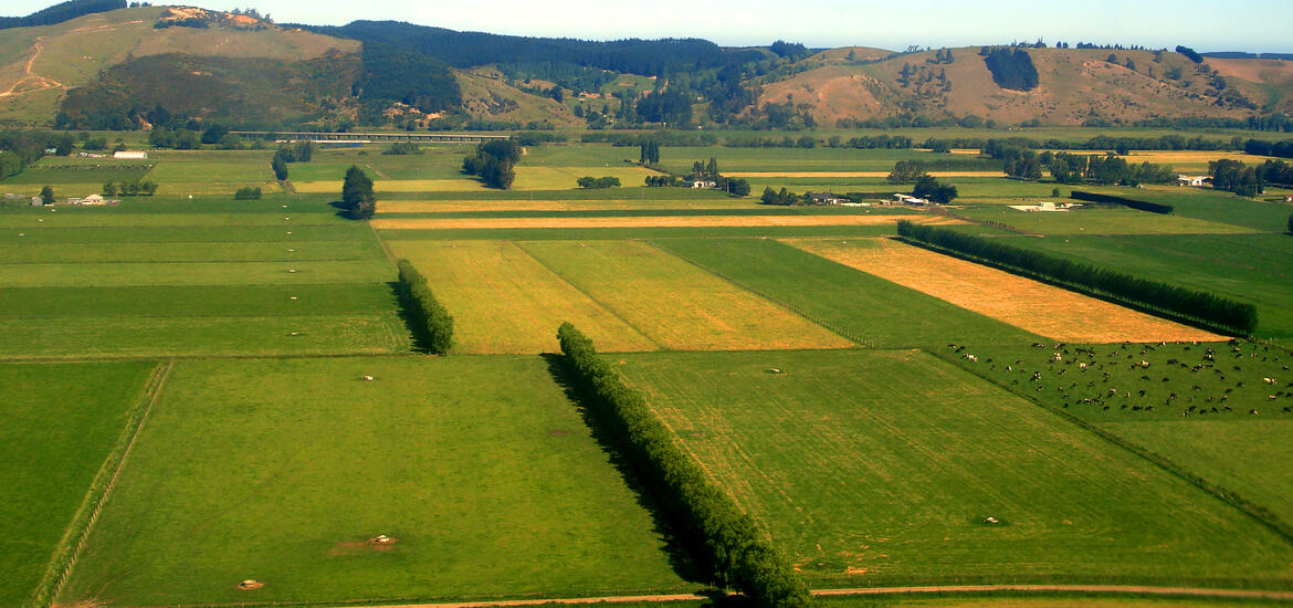 An aerial view of patchwork green and yellow fields in rural Otago, New Zealand, with hills in the background