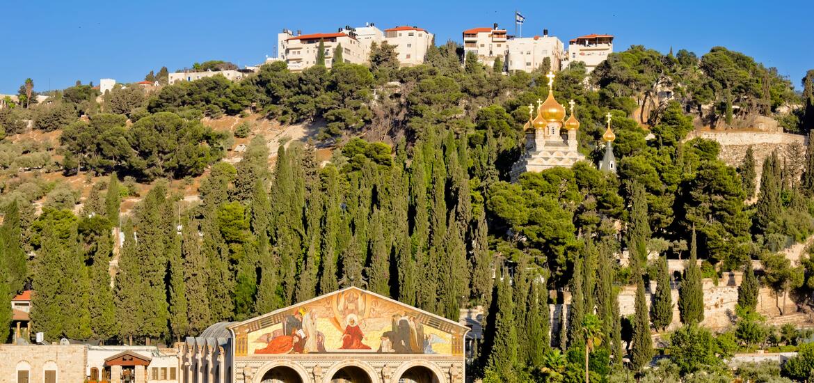 A view of the Mount of Olives in Jerusalem, featuring the golden domes of the Church of All Nations and Gethsemane, surrounded by trees with houses visible on the hilltop