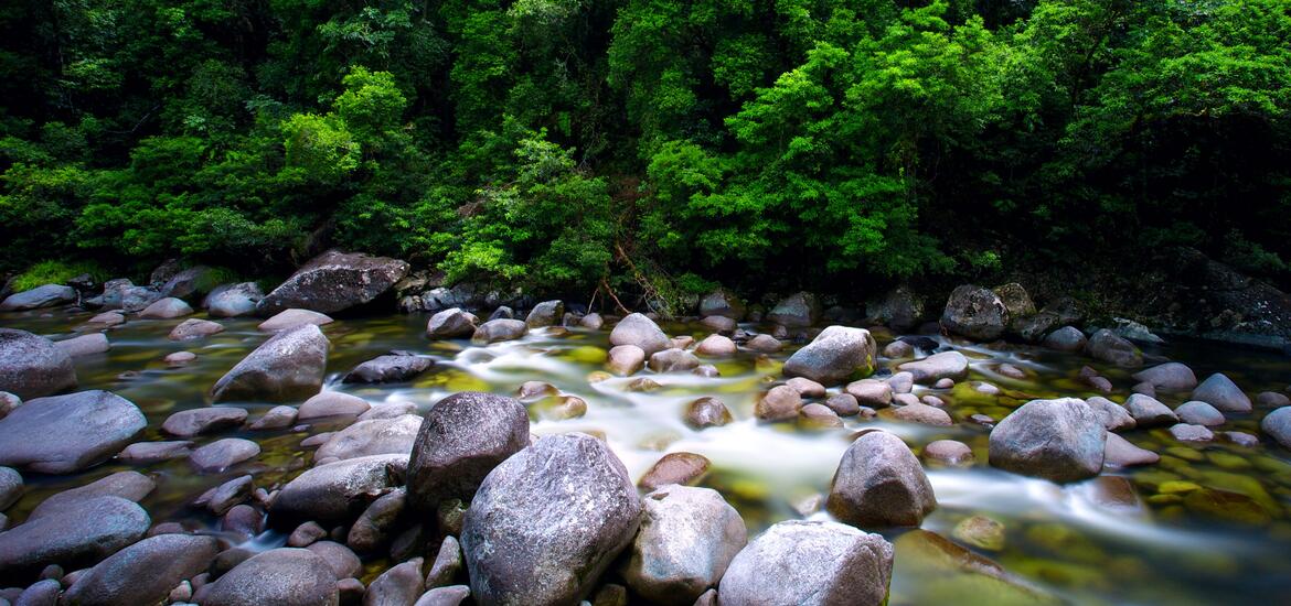 Clear water flowing over smooth rocks in Mossman River, surrounded by dense, green rainforest in Daintree National Park, Queensland