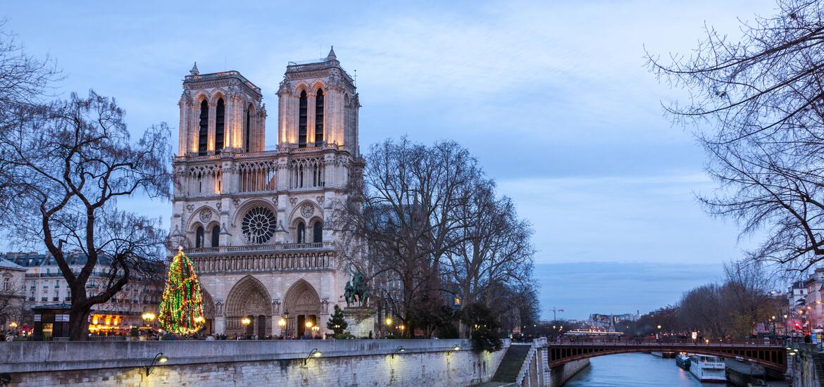 View of Notre Dame at night
