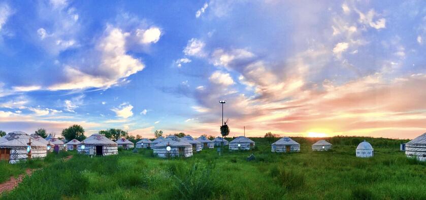 A group of yurts, round tents made of a wood frame covered in felt and canvas, in a green field in Mongolia with the sun beginning to rise