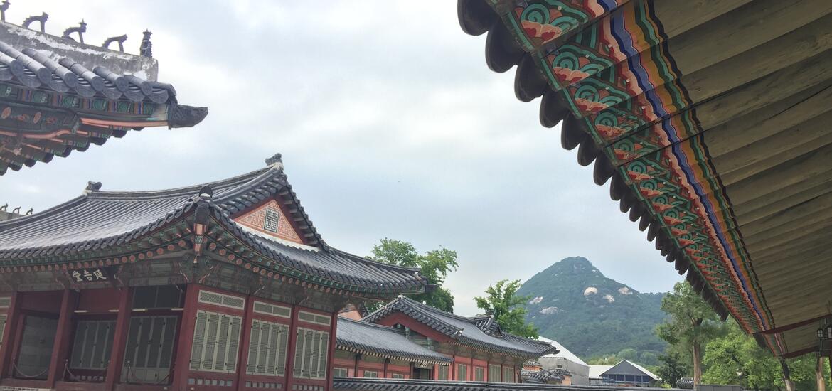 A view of Gyeongbokgung Palace in Seoul, highlighting the ornate painted roof eaves of traditional buildings, with a scenic mountain in the background