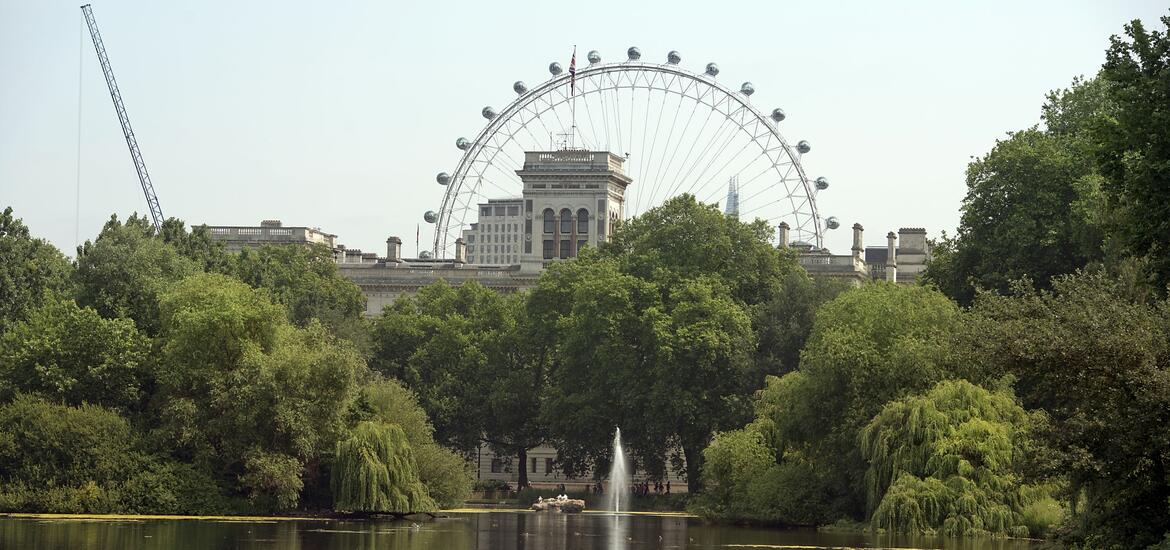 A view of St. James's Park in London, featuring a lake surrounded by greenery and the London Eye Ferris wheel in the background