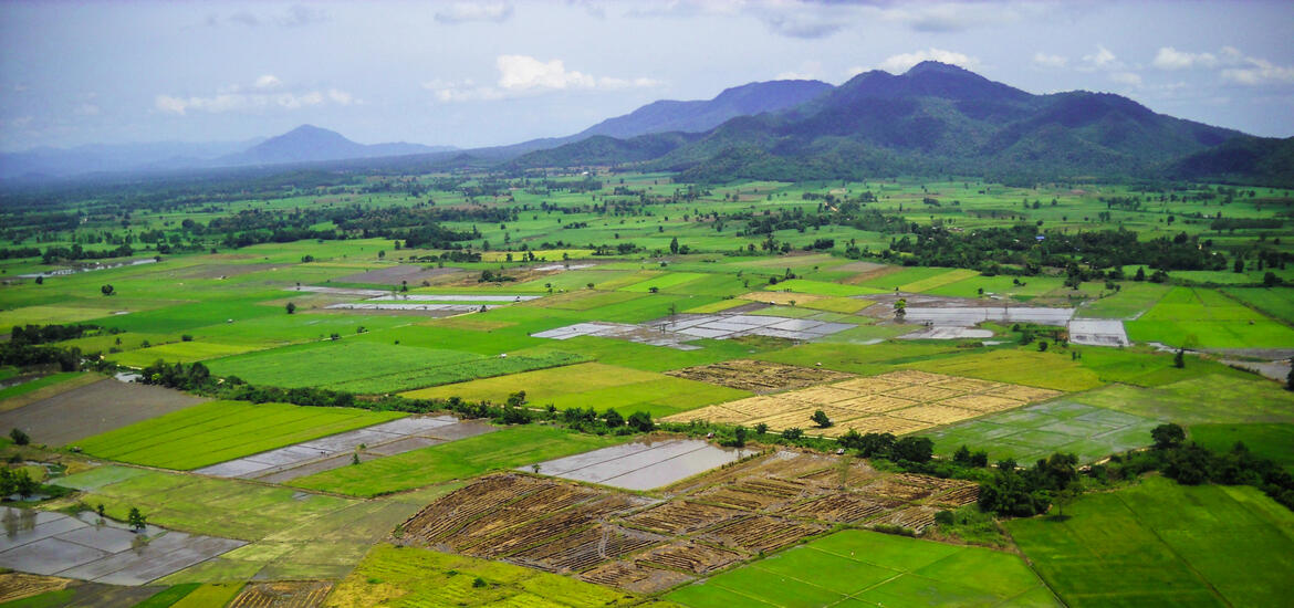 Aerial view of the Daintree Forest region in Far Northern Queensland, Australia, showing expansive green farmlands and rolling hills with mountains in the background