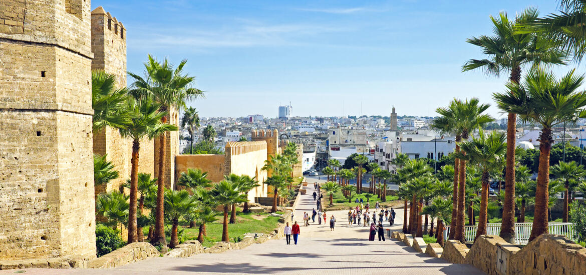 A vibrant street lined with palm trees runs alongside the ancient city wall in Old Rabat, Morocco, with the modern cityscape visible in the distance