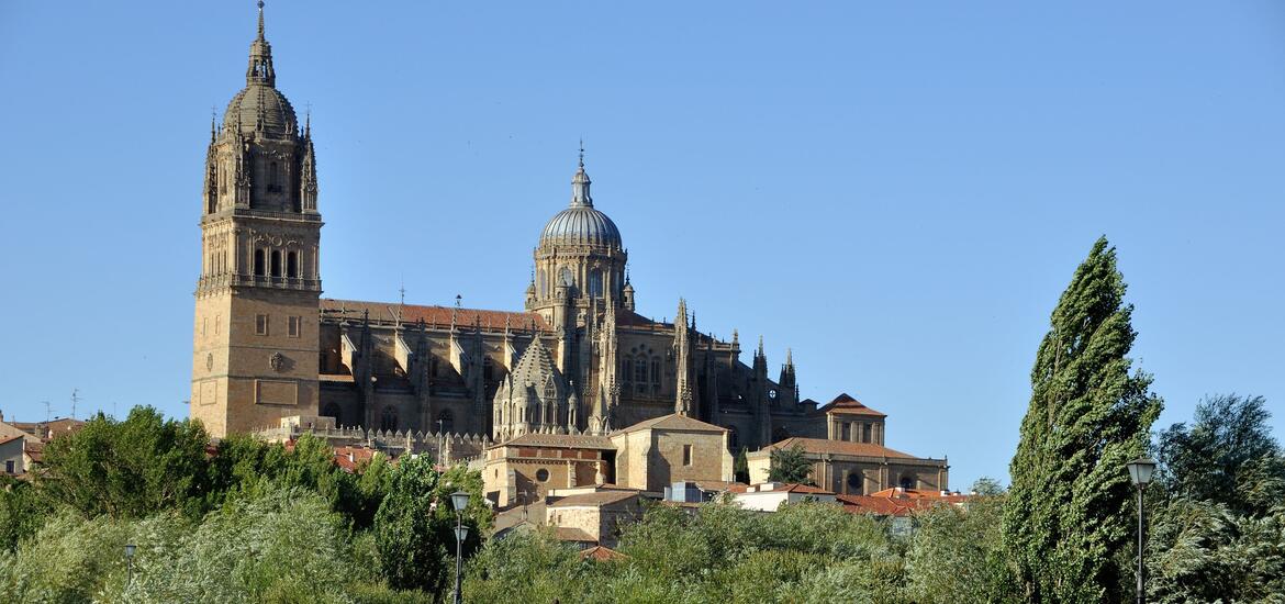 A view of the New Cathedral in Salamanca, with its towering domes and spires rising above the rooftops, surrounded by lush greenery