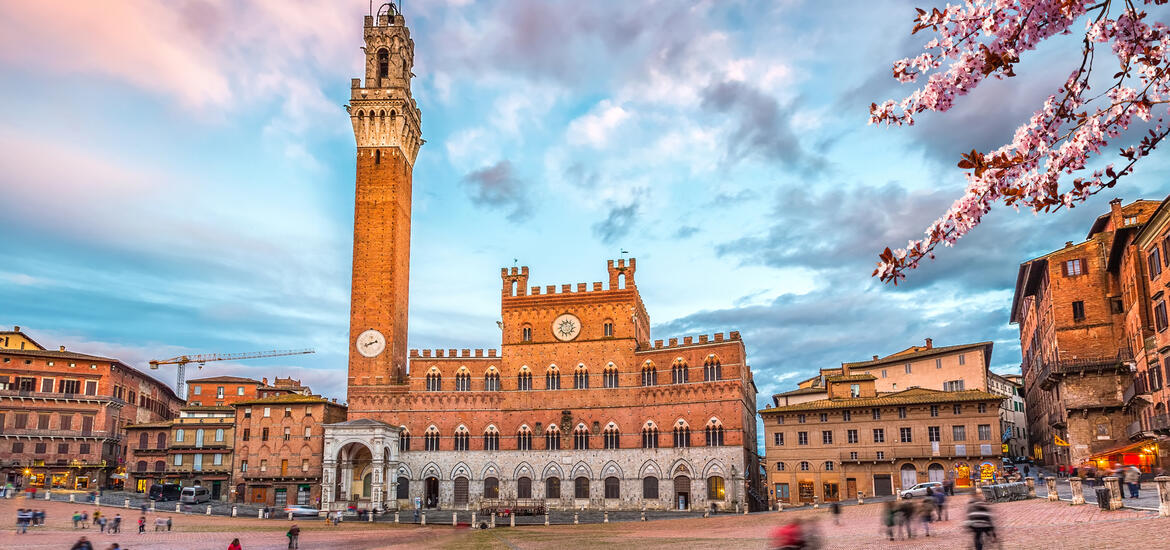 A view of Piazza del Campo in Siena, featuring the tall Torre del Mangia clock tower and the red brick Palazzo Pubblico, with cherry blossoms in the foreground