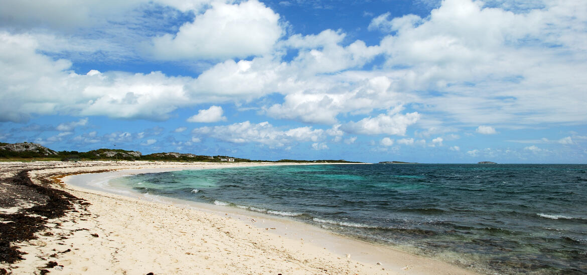 A stunning view of the beach, featuring white waves and crystal-clear turquoise waters on South Caicos Island in the Turks and Caicos Islands