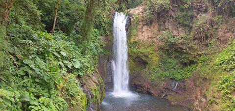 A distant view of La Paz Waterfall cascading into a pool, surrounded by lush greenery and rocky cliffs in the rainforest of Alajuela, Costa Rica