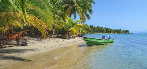 A tropical beach in Bocas del Toro, Panama, with palm trees and a small green boat on the shore