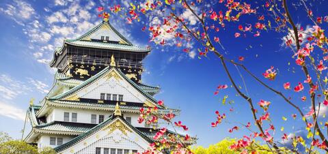 A view of Osaka Castle in Japan, with its white walls, green roof, and golden ornaments, framed by blossoming cherry brunches 