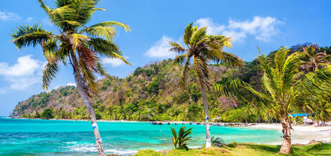 A tropical beach in Panama with palm trees, turquoise water, and lush green hills in the background