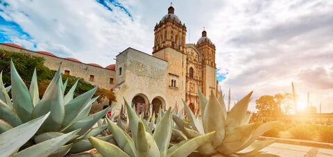 The historic Santo Domingo Temple in Oaxaca, Mexico, with a cluster of agave plants in the foreground