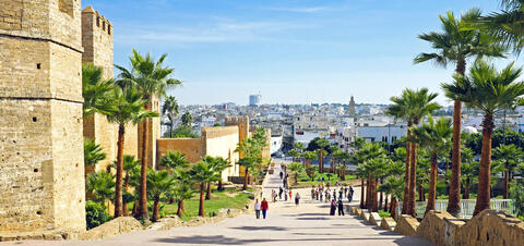 Historic City Walls of Old Rabat, Morocco A vibrant street lined with palm trees runs alongside the ancient city wall in Old Rabat, Morocco, with the modern cityscape visible in the distance