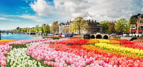 View of tulips and canals