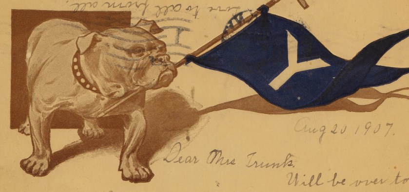 A 1907 postcard of Handsome Dan, the Yale mascot